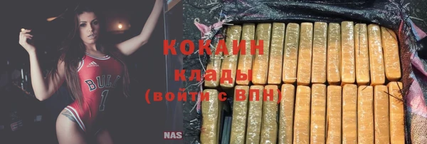 ECSTASY Горняк