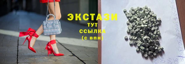ECSTASY Горняк