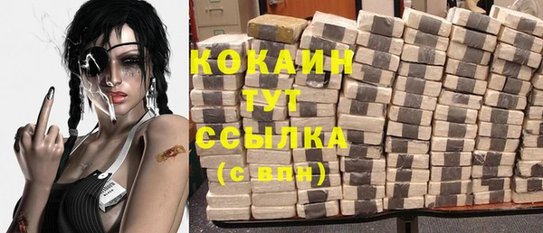 ECSTASY Горняк