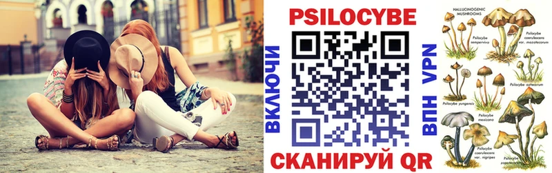 Купить  Наро-Фоминск  Псилоцибиновые грибы Psilocybe 